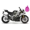 2024 Aprilia Tuono V4 1100 Factory
